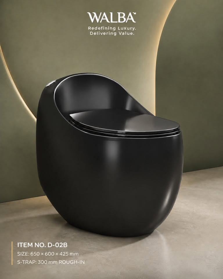 WALBA D02B Matte Black Toilet